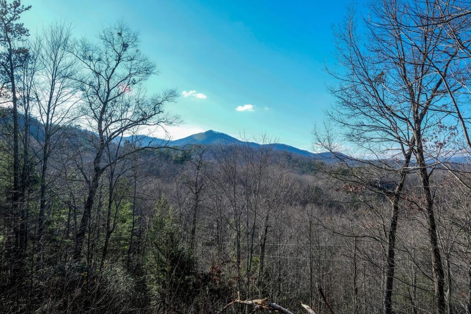 Spring, Day, Natural landscape, View (from property/room), View (from property/room), Decorative detail, Decorative detail, Pets, Pets, Mountain view, Mountain view, pet friendly, pet friendly