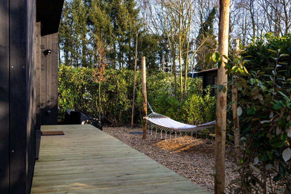 Day, Garden, Garden view, sunbed