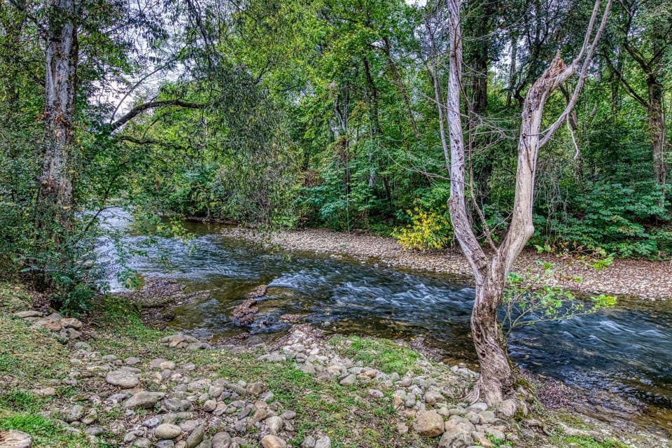 Spring, Day, Natural landscape, River view