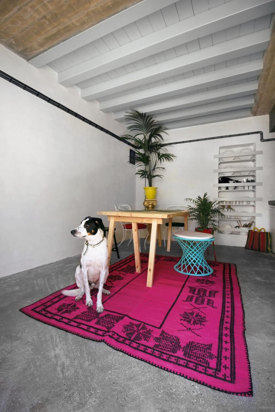 Dining area, kitchen