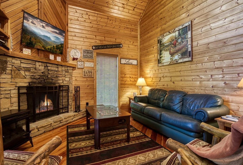 TV and multimedia, Living room, Seating area, fireplace, pet friendly