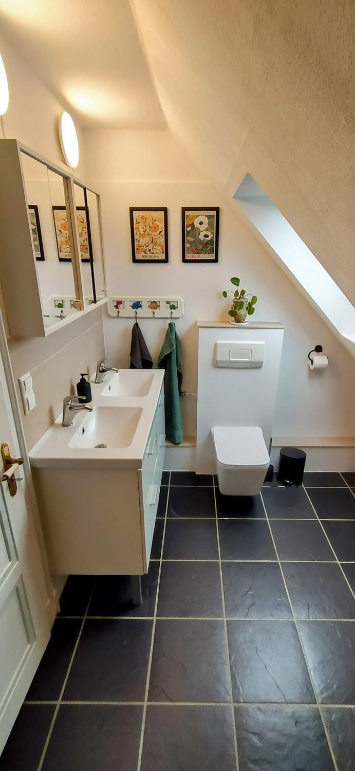 Toilet, Bathroom