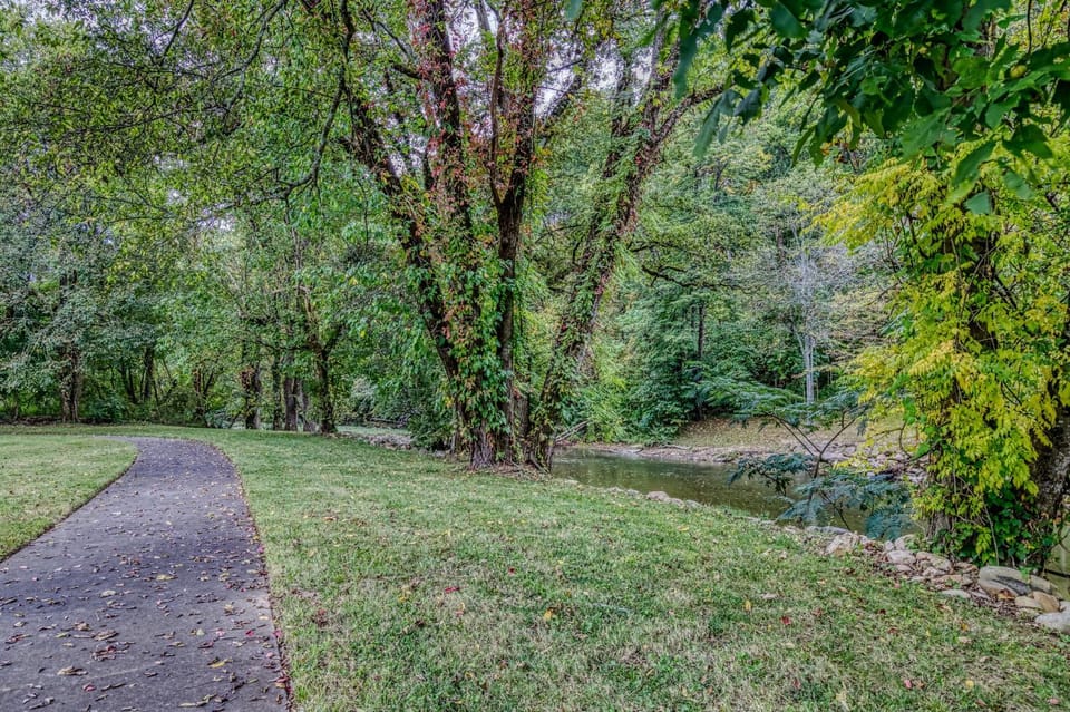 Spring, Natural landscape, River view