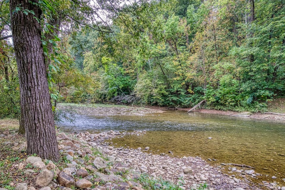 Spring, Day, Natural landscape, River view