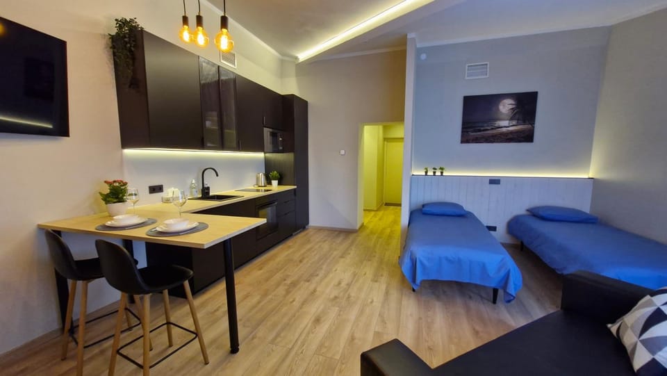 Räpina Studio Apartment Apartment in Estonia