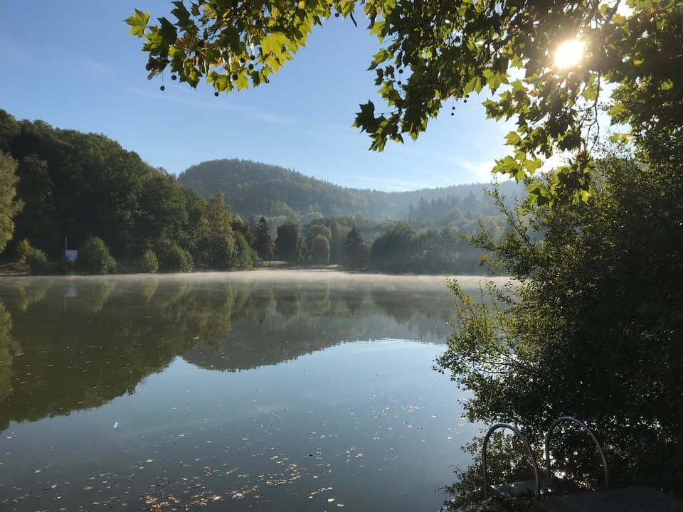 Pfizenmaiers Haus am See Apartment in Baden-Württemberg