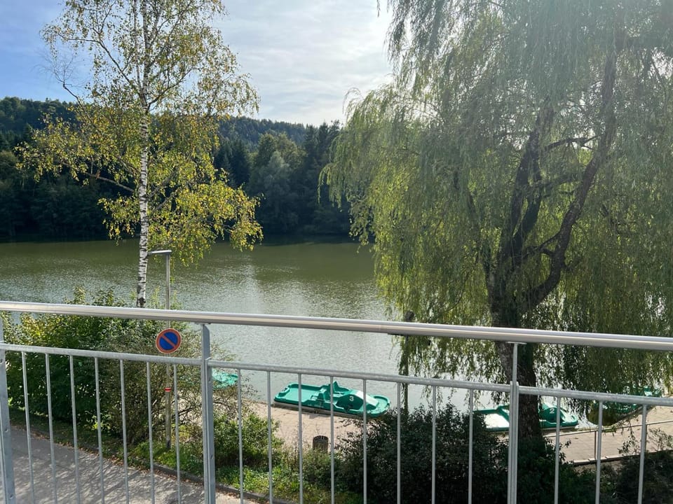 Pfizenmaiers Haus am See Apartment in Baden-Württemberg