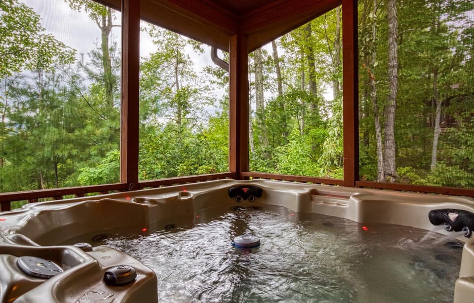 Spring, Day, Natural landscape, Hot Tub, View (from property/room), Balcony/Terrace, Mountain view, pet friendly