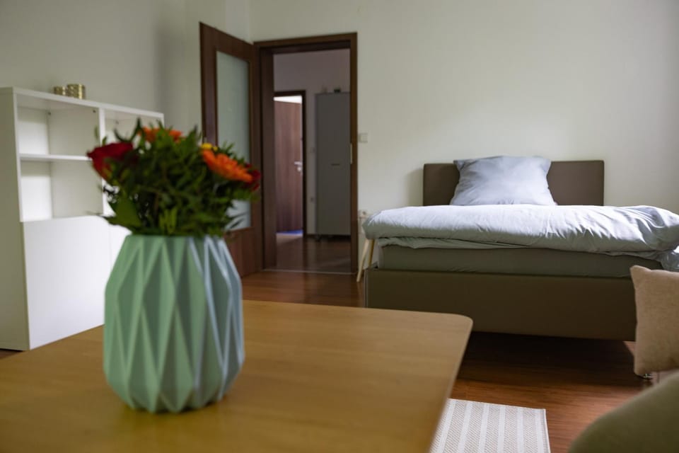 Gemütliche Wohnung Städtnähe mit Netflix und Stellplatz Apartment in Coburg
