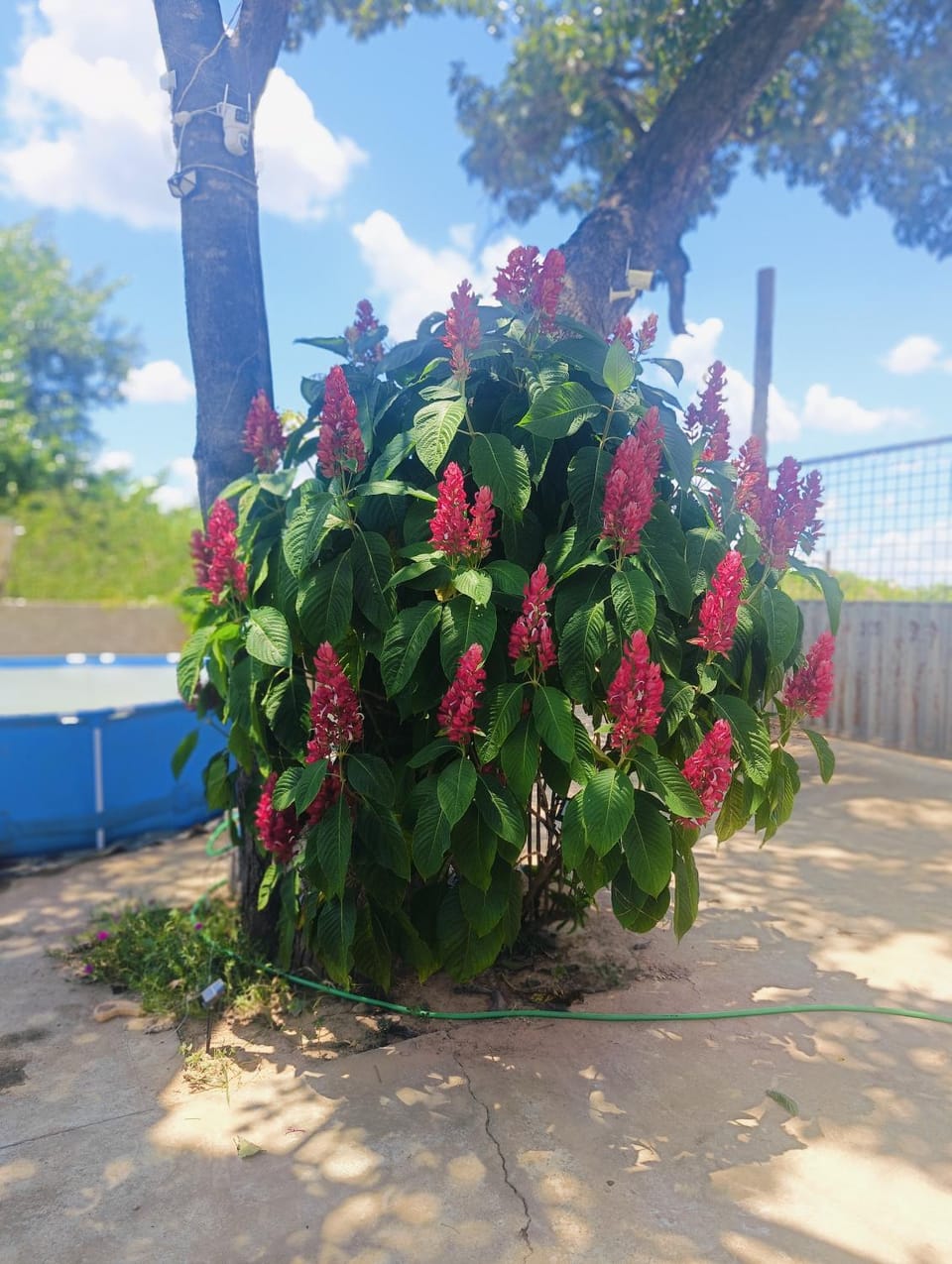 Rancho rio Campground/ 
RV Resort in State of Bahia