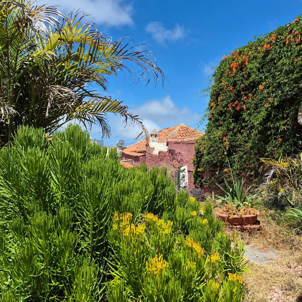 I Miti 12 - Caserio Museo Bed and Breakfast in Canary Islands