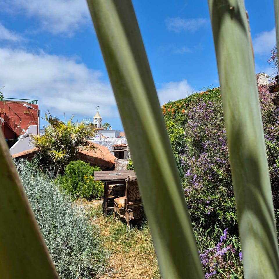 I Miti 12 - Caserio Museo Bed and Breakfast in Canary Islands