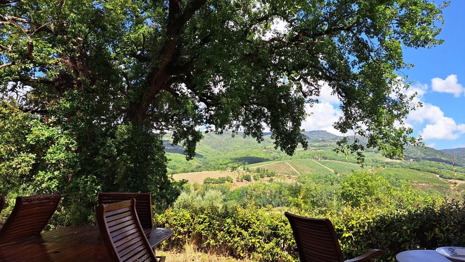 Appartamento Holly House Apartment in Radda in Chianti