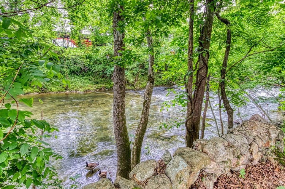 Day, Natural landscape, River view