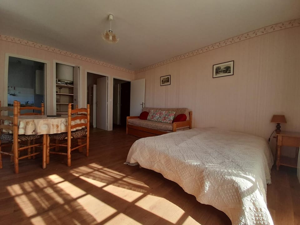 Studio lumineux au centre-ville avec balcon - FR-1-541-133 Apartment in Nouvelle-Aquitaine