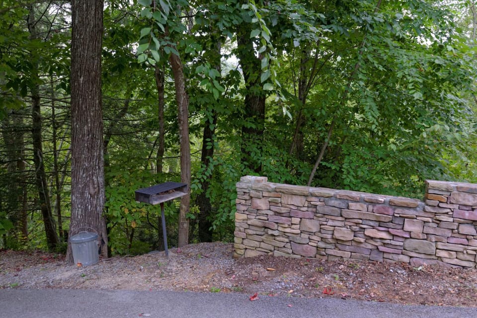 Spring, Day, Natural landscape, BBQ facilities, pet friendly