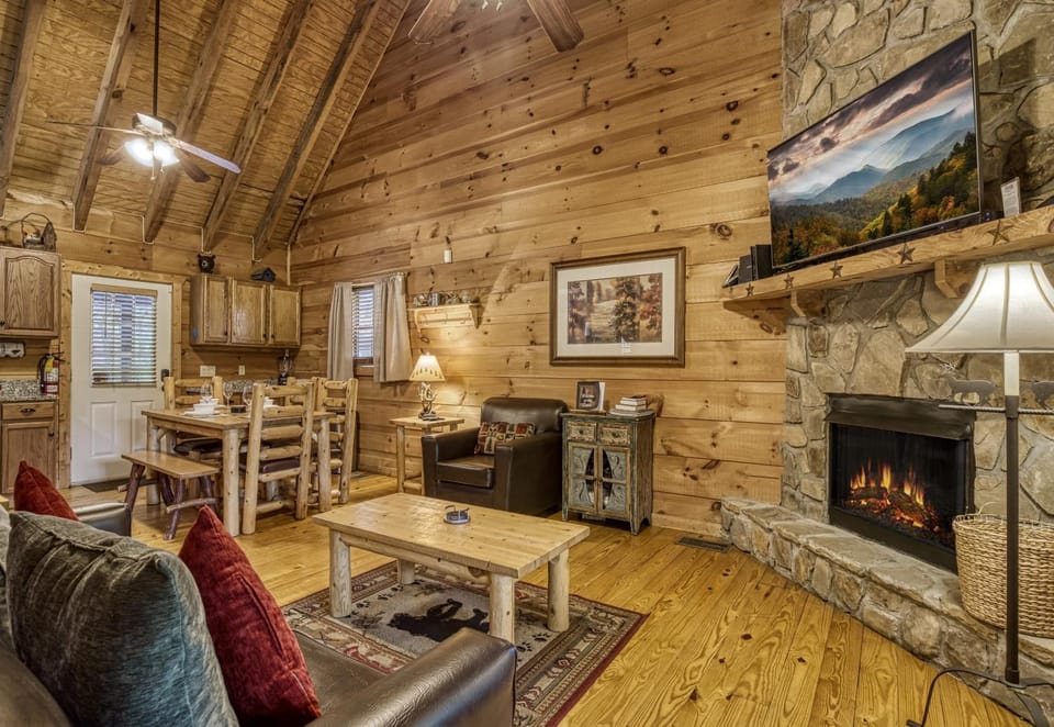 Communal lounge/ TV room, TV and multimedia, Living room, Decorative detail, Seating area, Dining area, Evening entertainment, fireplace, pet friendly