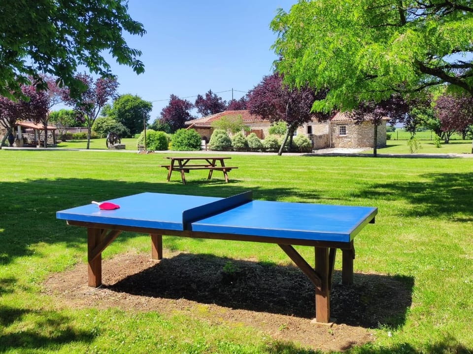 Garden, Table tennis