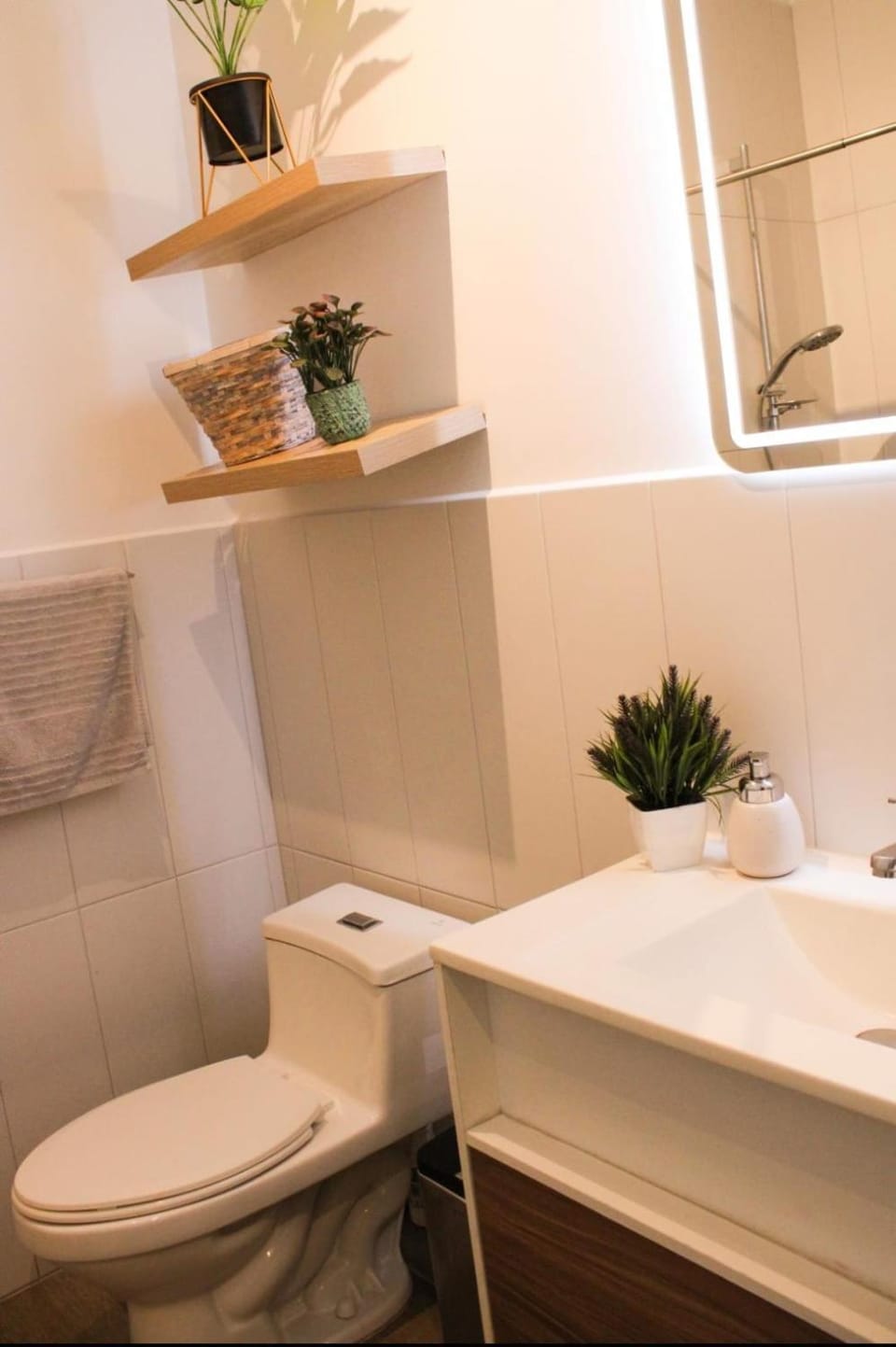Toilet, Bathroom