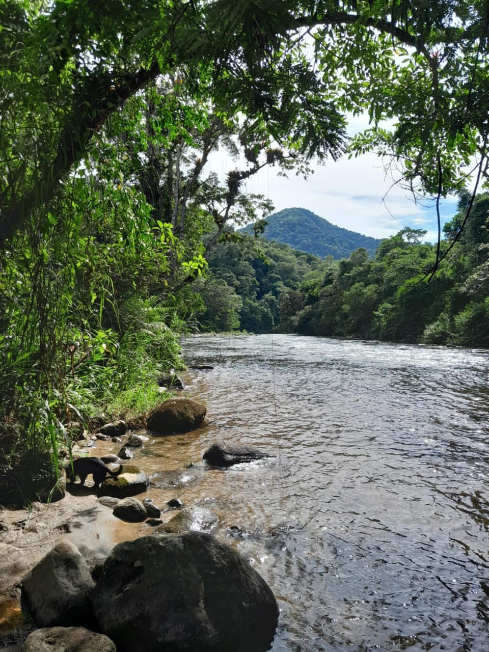 Casa de temporada Sitio Cambucá House in Angra dos Reis