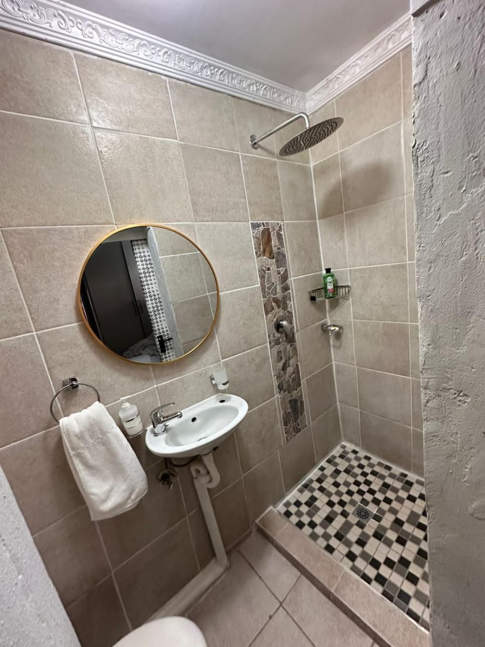 Shower, Toilet, towels