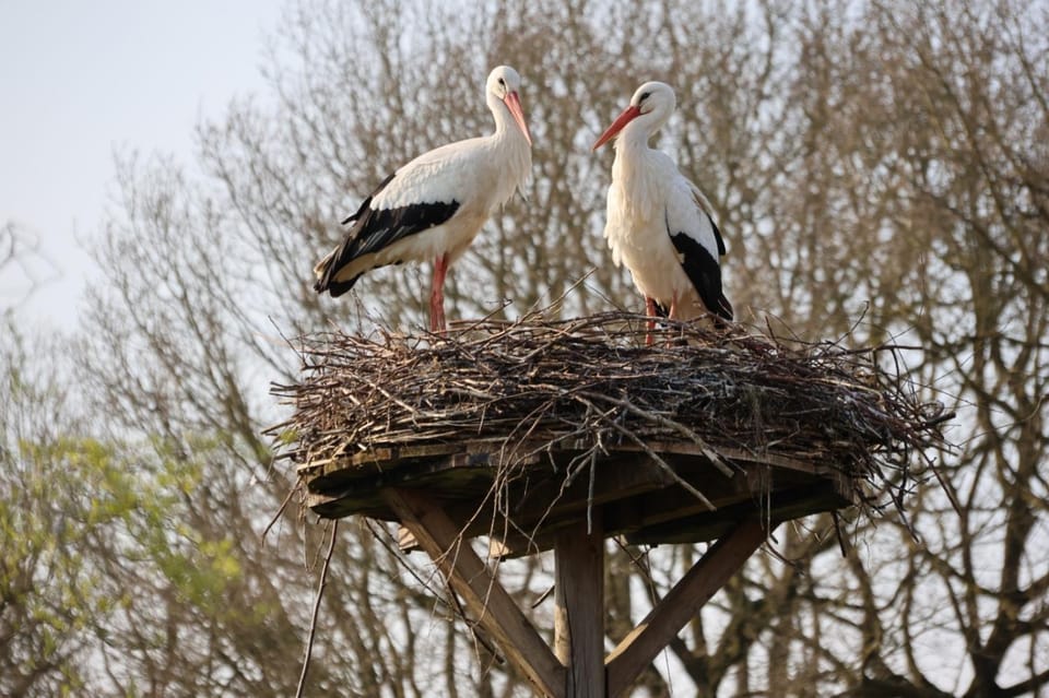 Boszicht House in Drenthe (province)