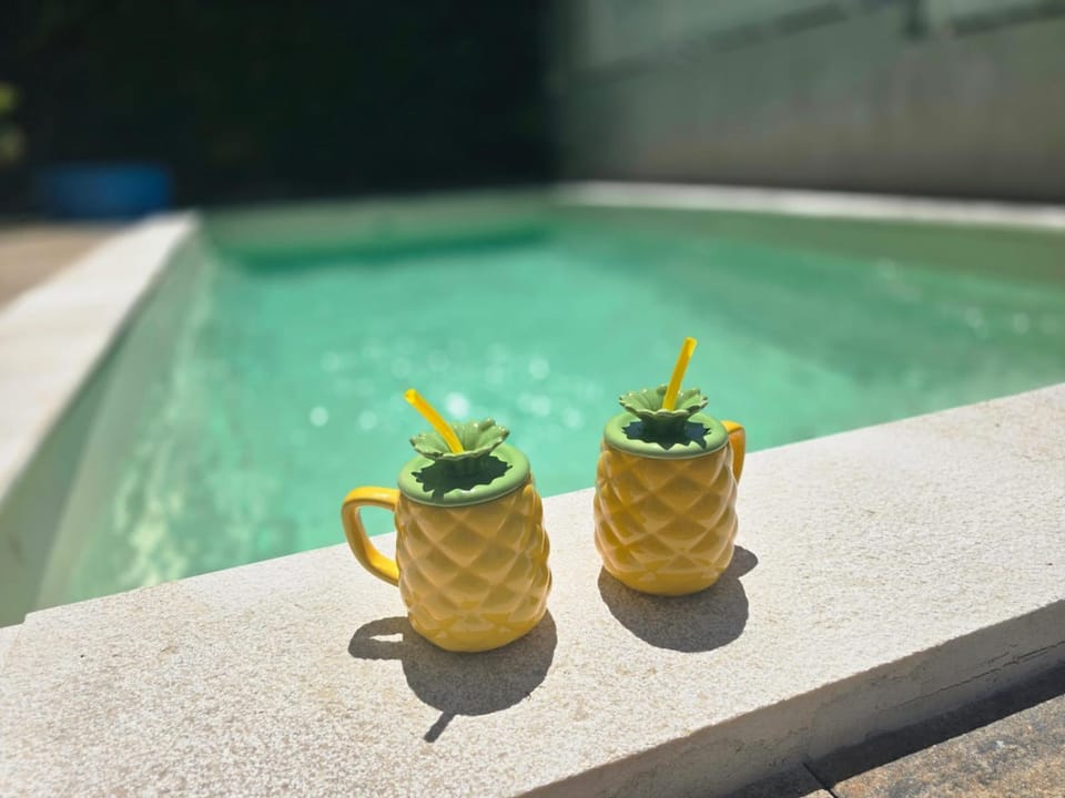 Dolce vita - apartments with pool near Poreč Apartment in Istria County