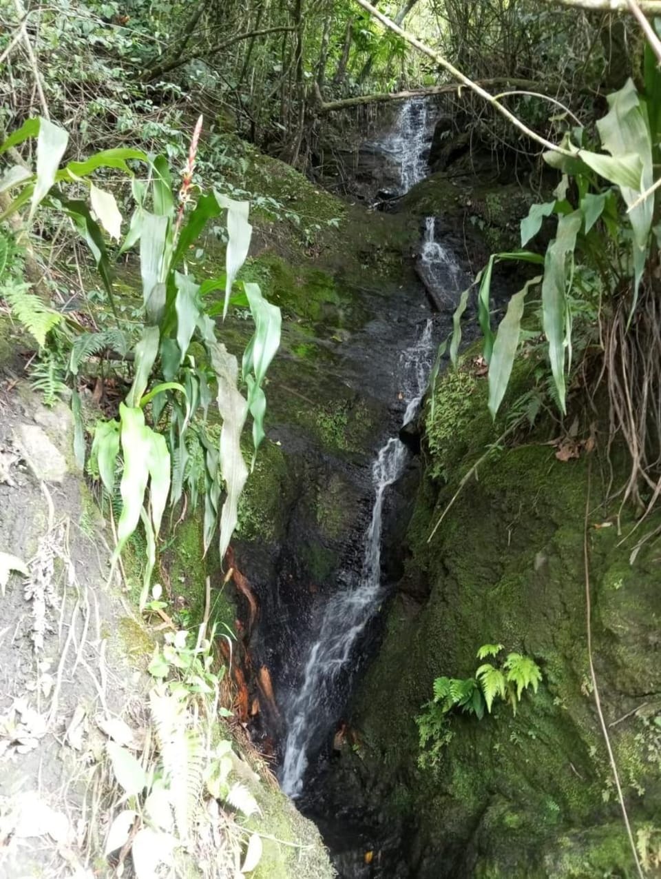 Nearby landmark, Natural landscape, River view