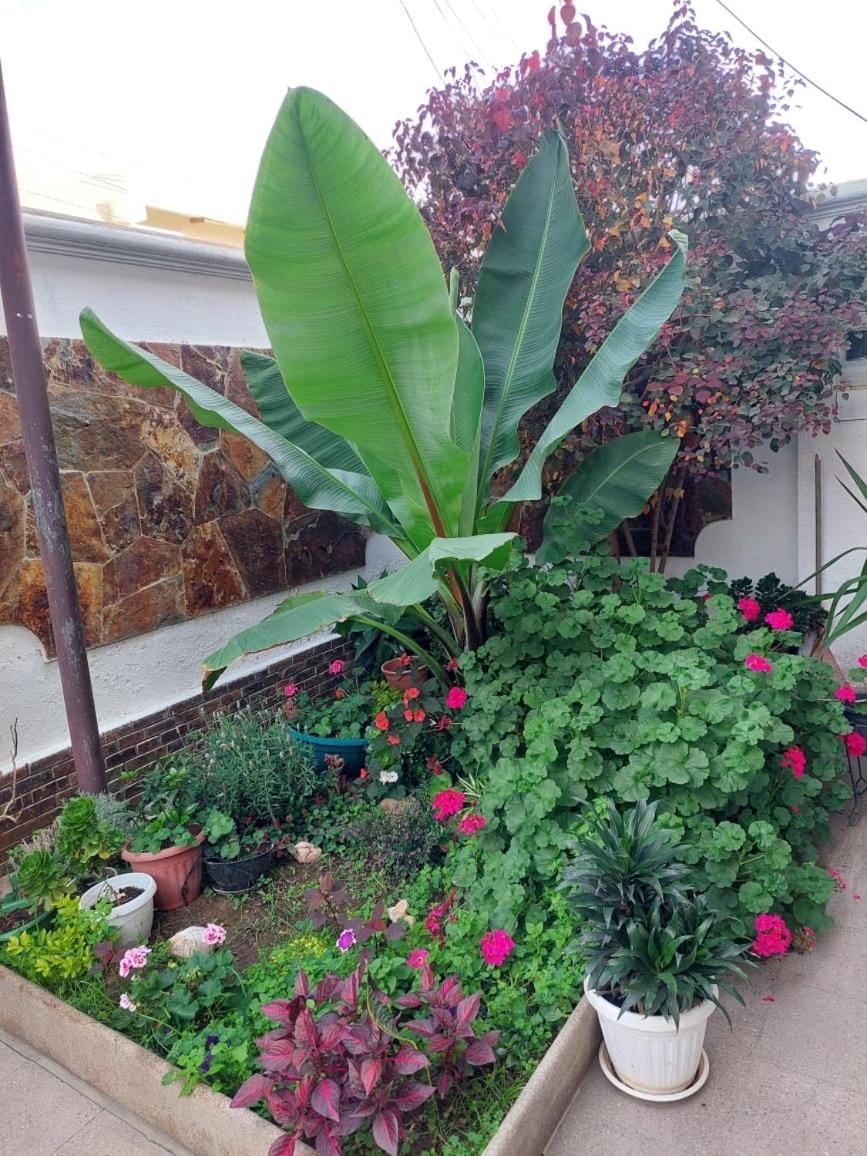El Descanso Apartment in Cochabamba