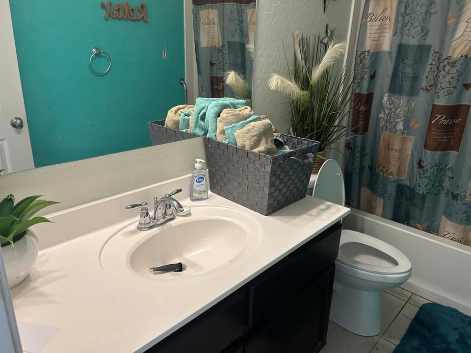 Toilet, Bathroom, Bath