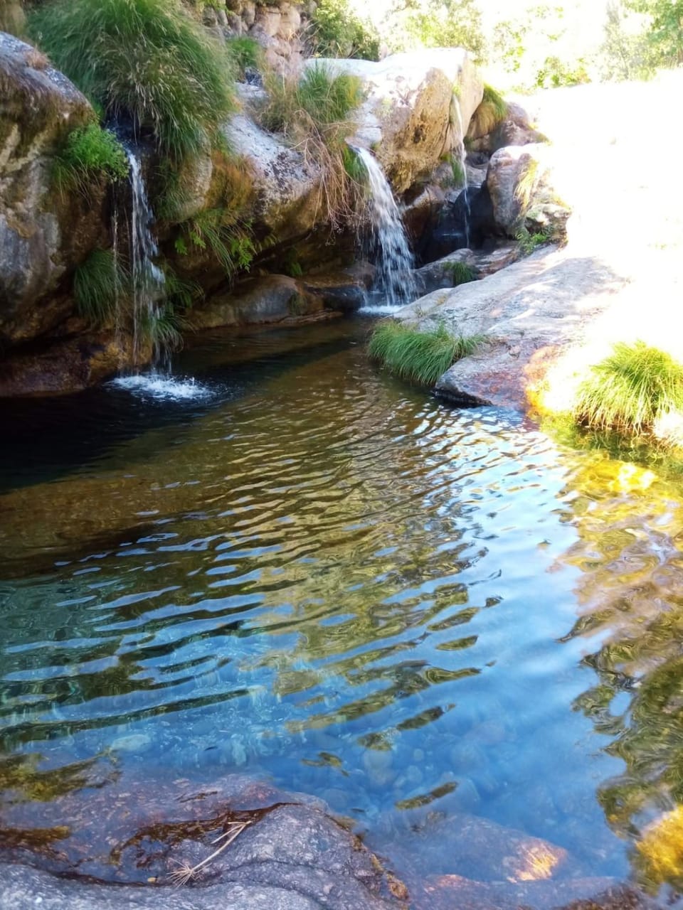 Natural landscape, River view