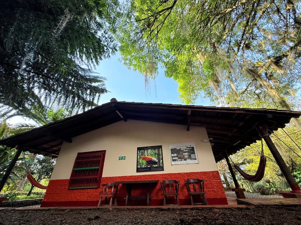 Property building, Garden view
