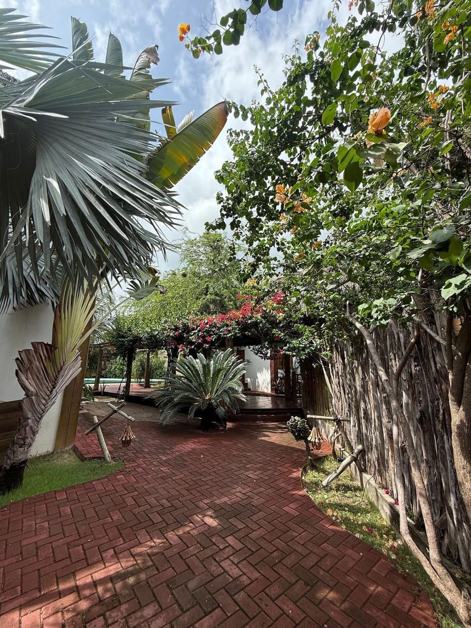 Garden view
