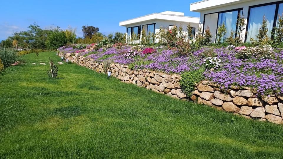 Property building, Day, Garden, Garden view