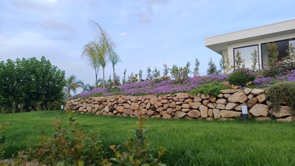 Property building, Garden, Garden view