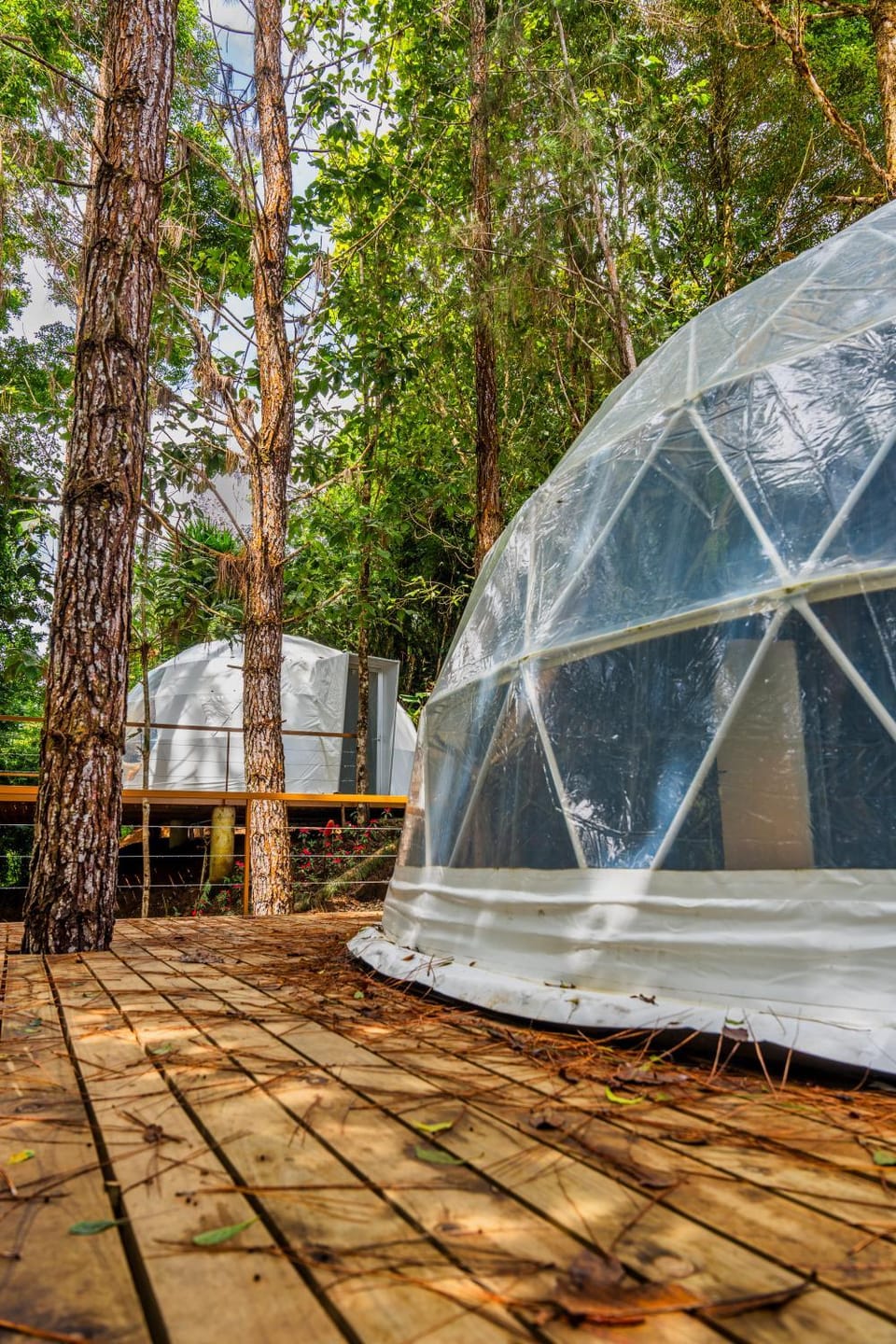 Botanik Glamping Nature lodge in Chiriquí Province