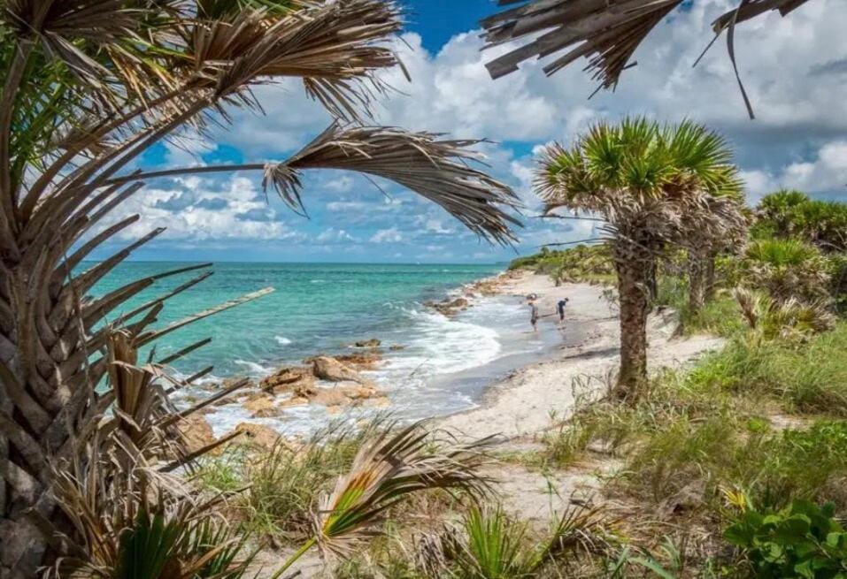 Day, Natural landscape, Beach