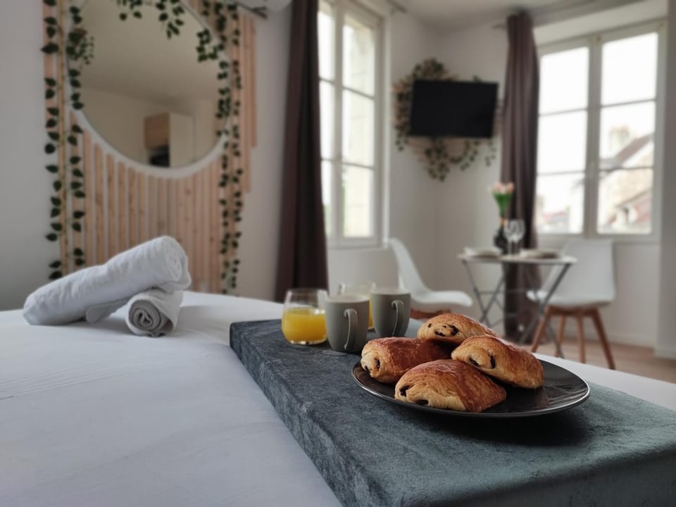 Studio Kamelia Apartment in Centre-Val de Loire