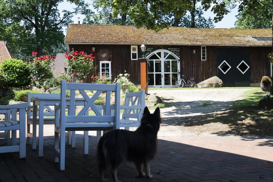 Naturhotel Hof Ehlers Bed and Breakfast in Heidekreis