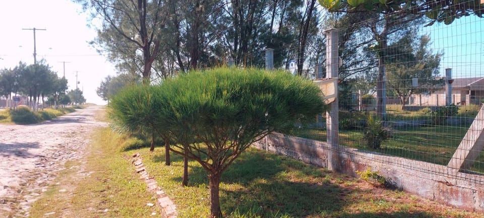 Natural landscape