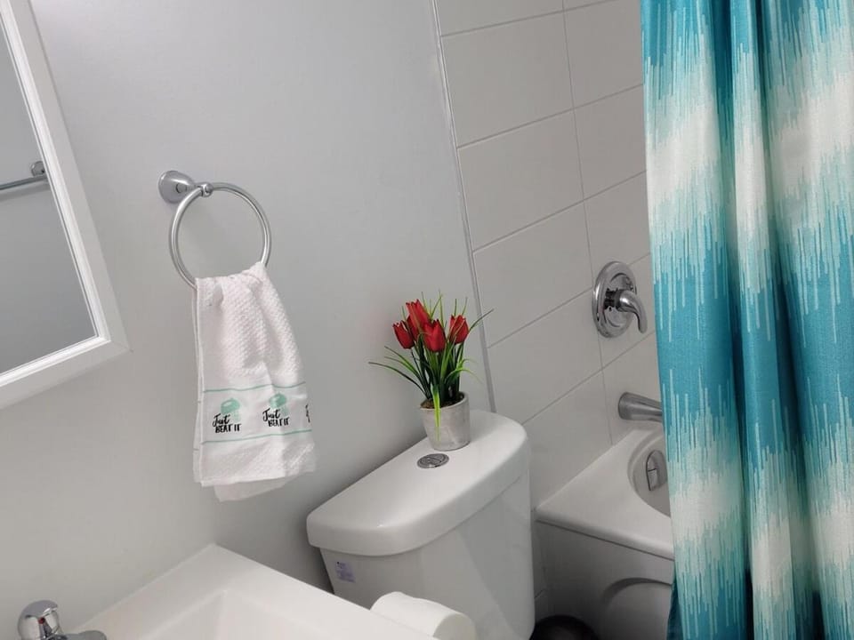 Luxury two bedrooms in a modern basement Apartment in Winnipeg