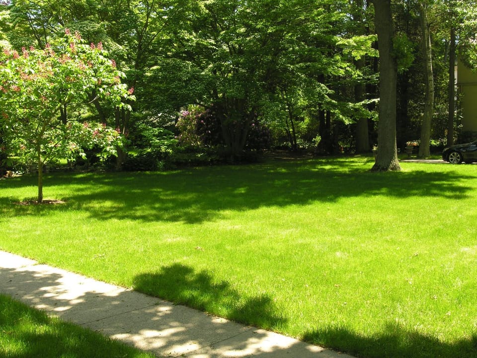 Day, Garden