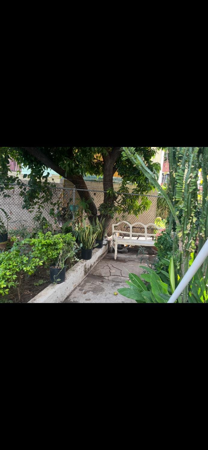 Garden, Balcony/Terrace