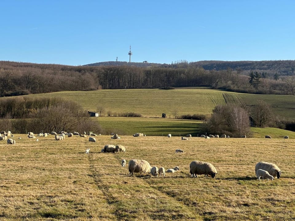 Ferienhaus – Bergblick am Köterberg Apartment in North Rhine-Westphalia
