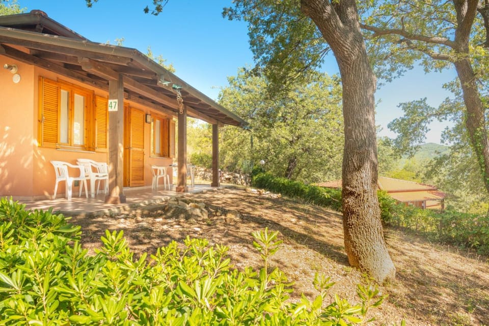 Property building, Natural landscape, Garden, Garden view