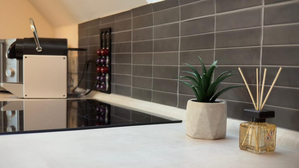 Kitchen or kitchenette, Photo of the whole room, oven