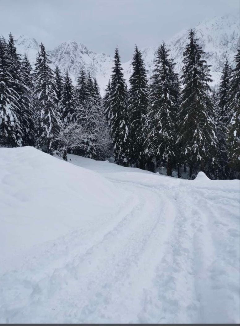 Natural landscape