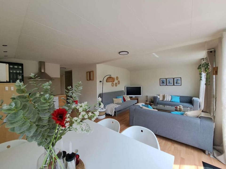 TV and multimedia, Dining area