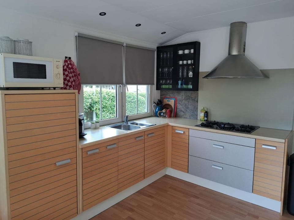 Kitchen or kitchenette, dishwasher, stove