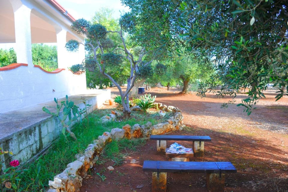 Patio, Spring, Day, Garden, Dining area, Garden view